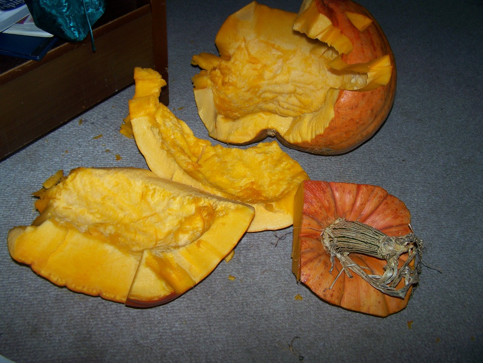[100_6049.JPG]