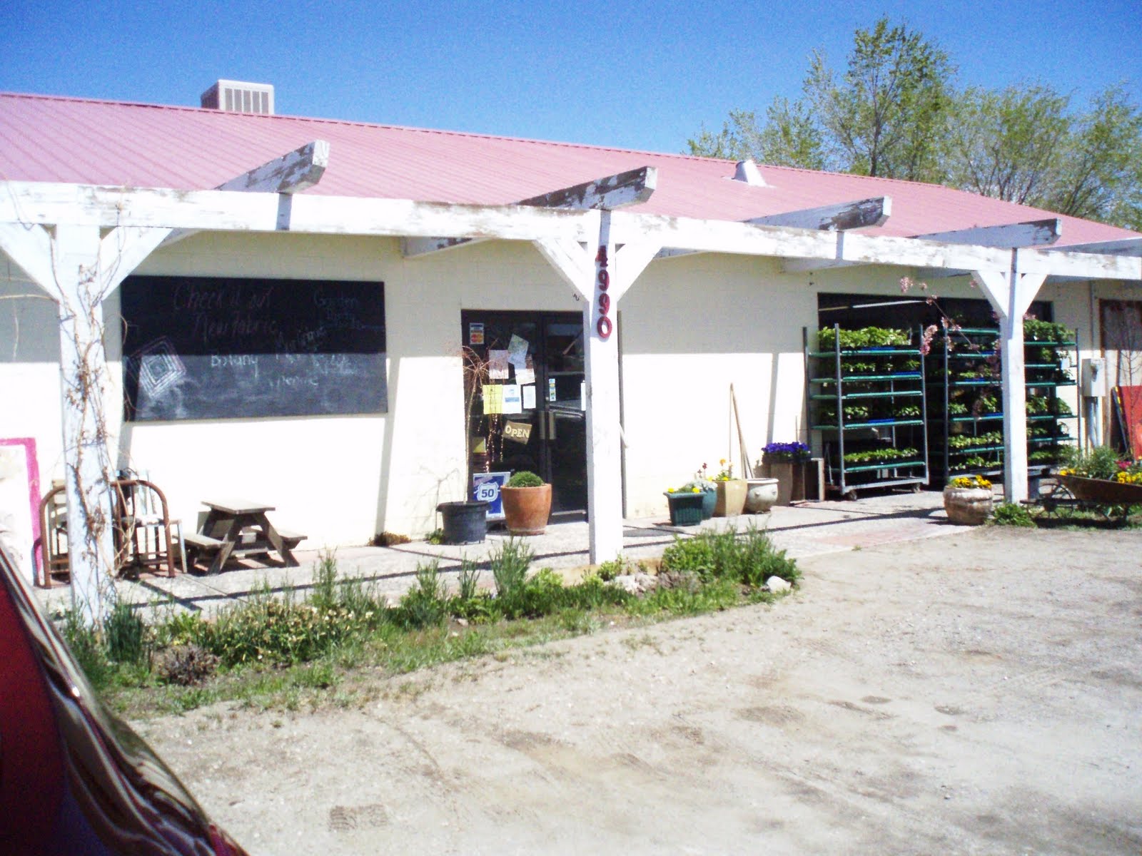Fallon Nv