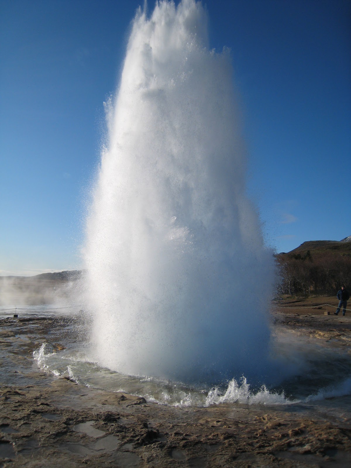 [IMG_7363.JPG]