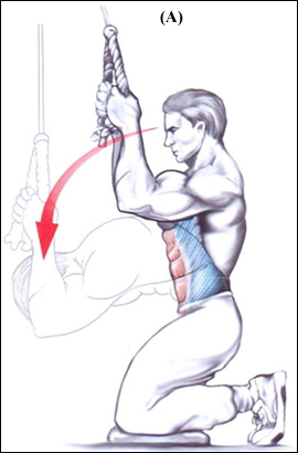 SAÚDE DESPORTIVA: Exercícios abdominais – Abdominal SAÚDE DESPORTIVA: Exercícios abdominais – Abdominal
