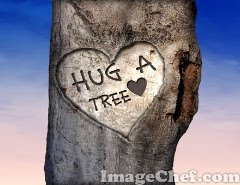 Hug A Tree