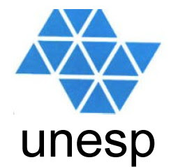 Vestibular Unesp 2010