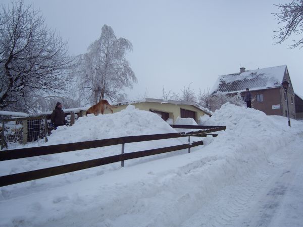 [winter13.jpg]