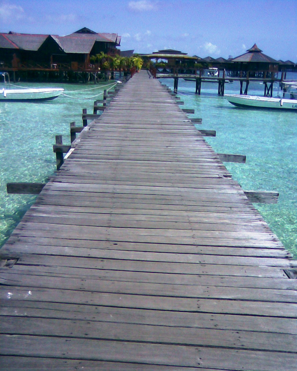 [Image044.jpg]