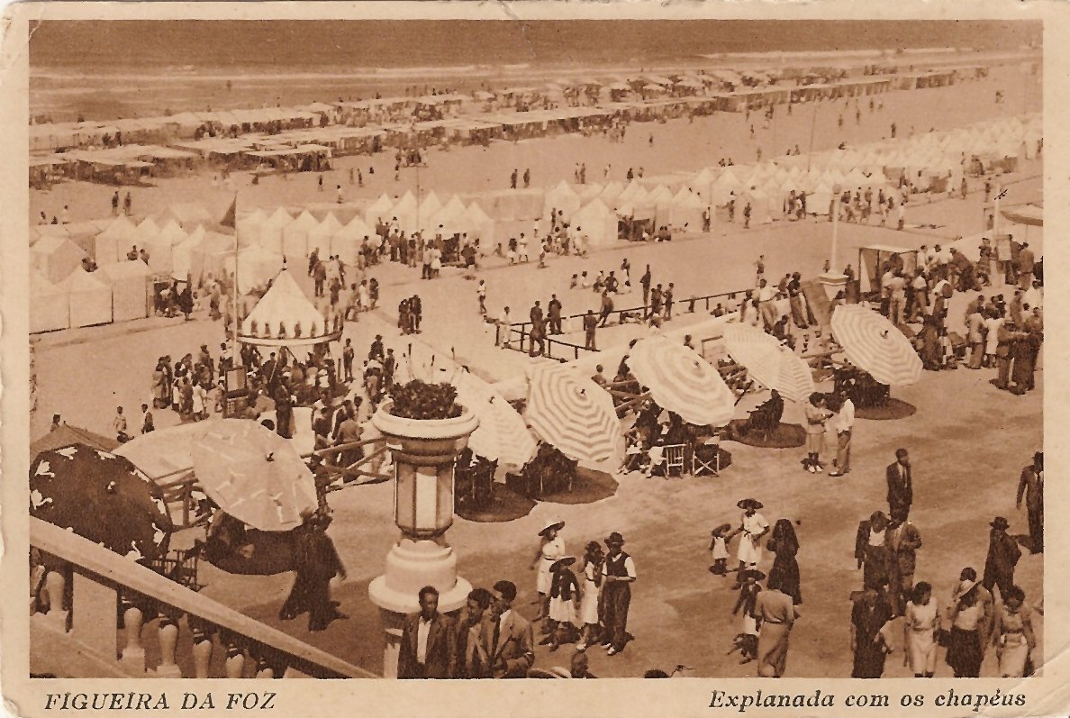 [Figueira.jpg]