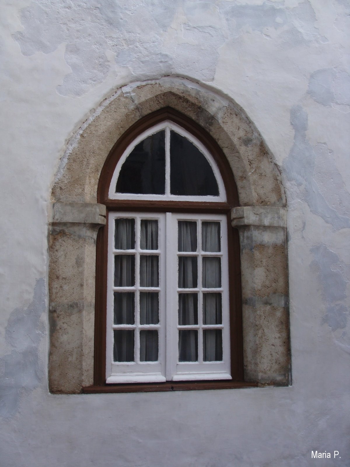 [DSC02008.JPG]