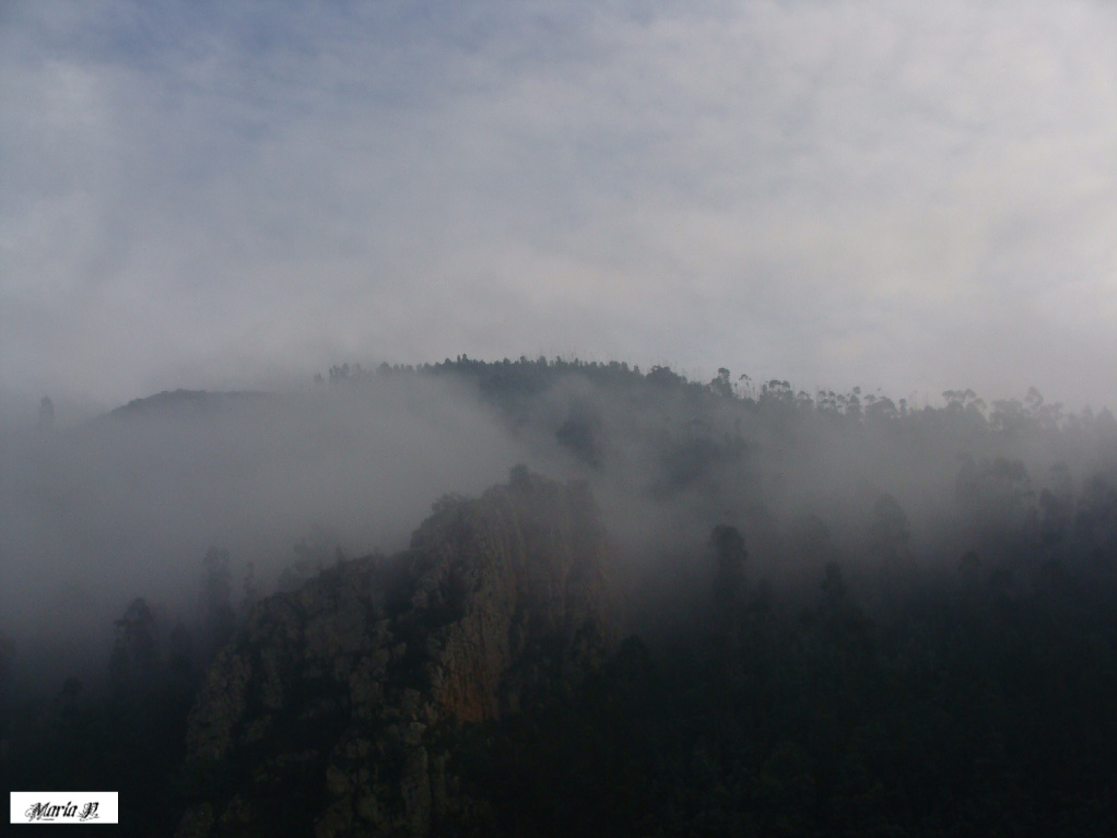 [5+FotoFlexer_Photo]