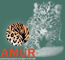 Please click on the picture to donate to AMUR