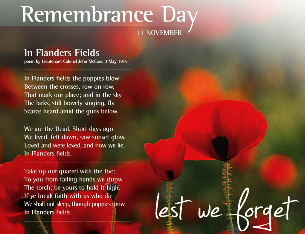 remembrance poppy quotes remembrance poppy quotes