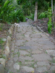 Sendero indigena en Taironaca