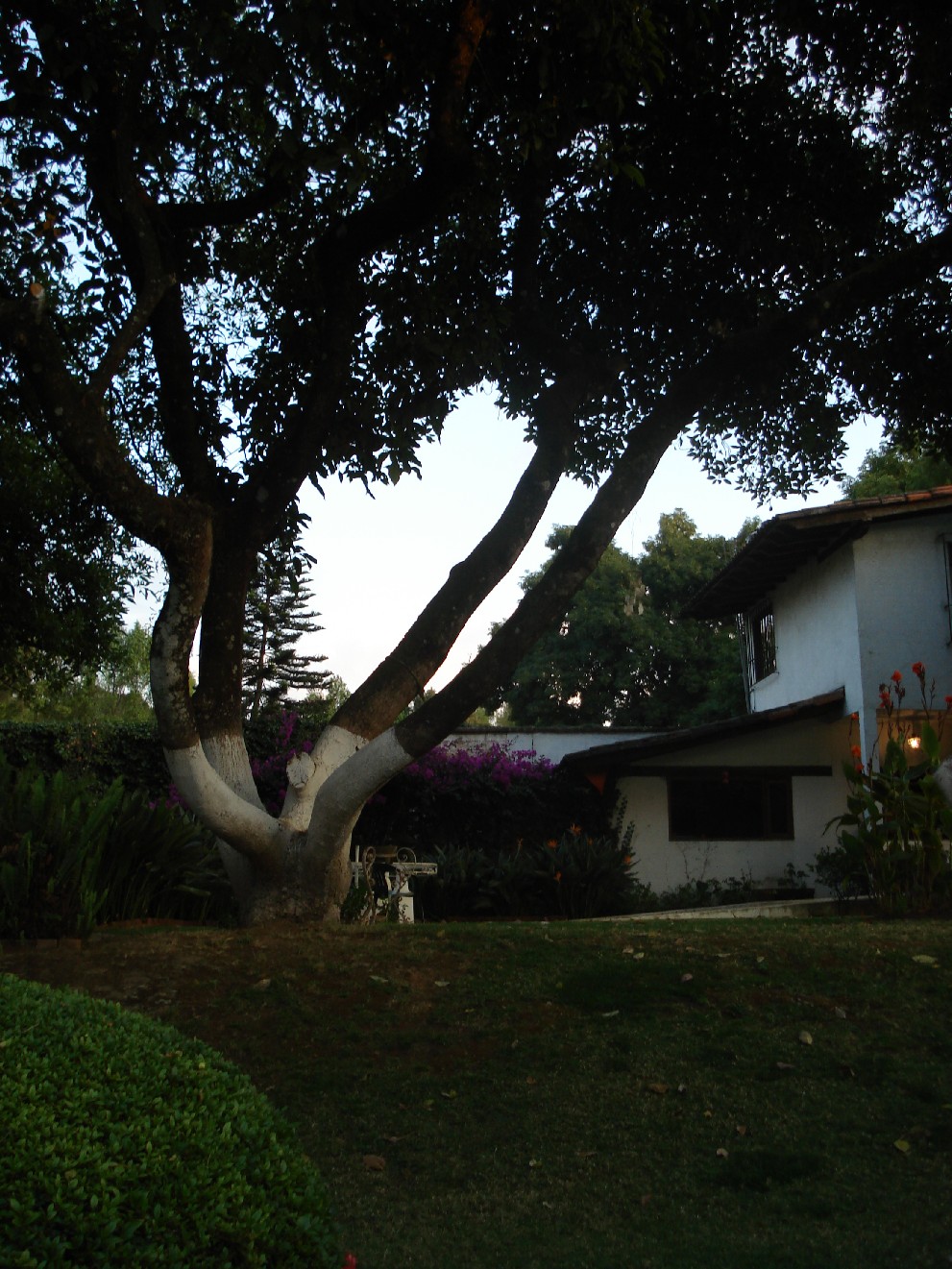[Casa+2.JPG]