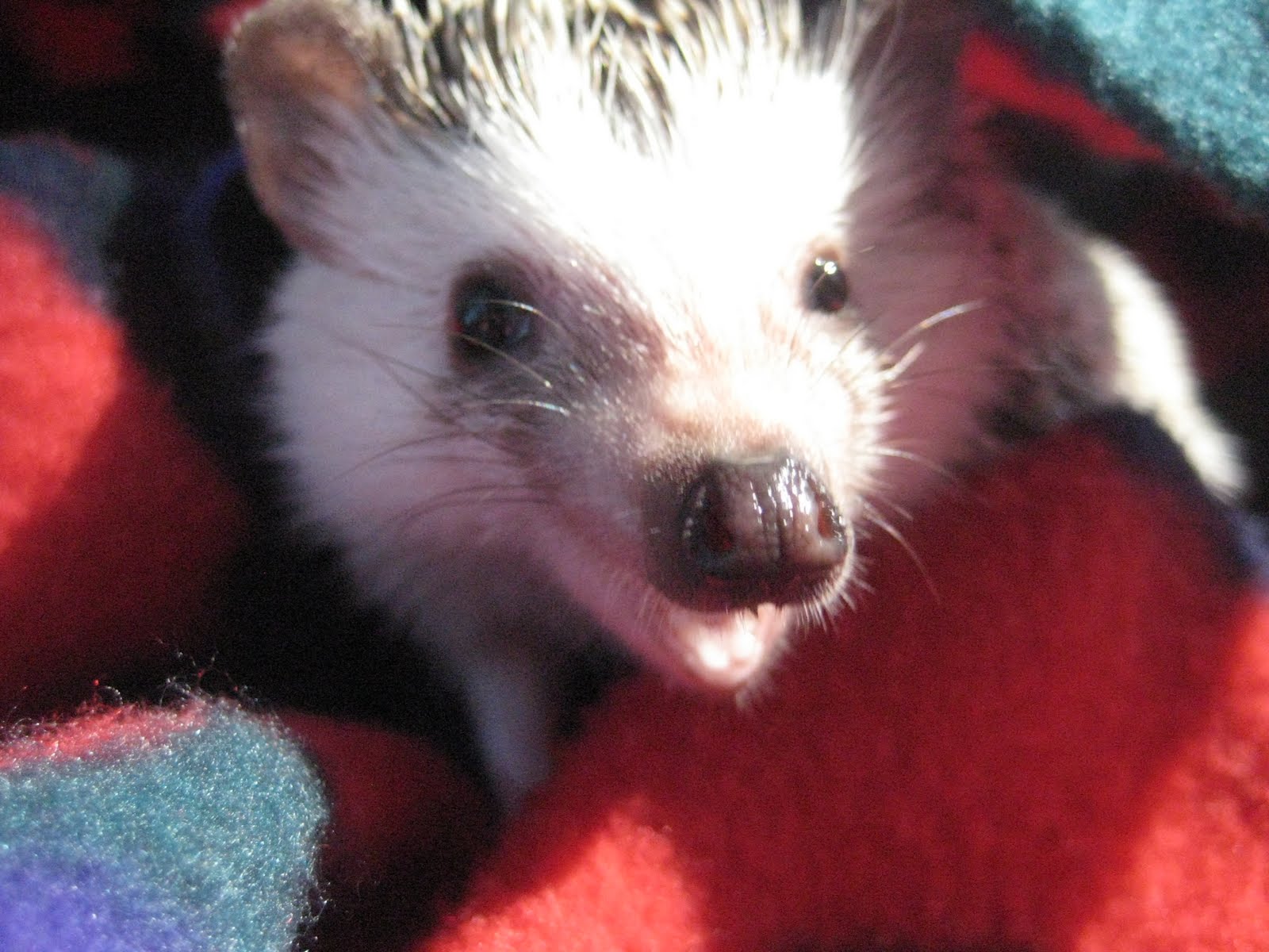 2 Front Desk Agent Salary In Qatar Editor Pambazuka Org On