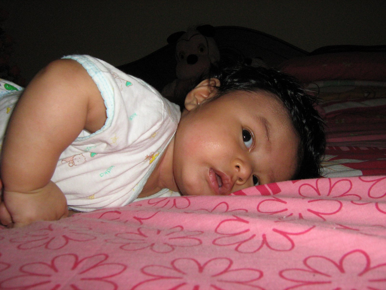 [IMG_0071[1]]
