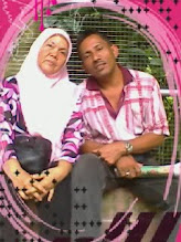 Tuan Penasihat