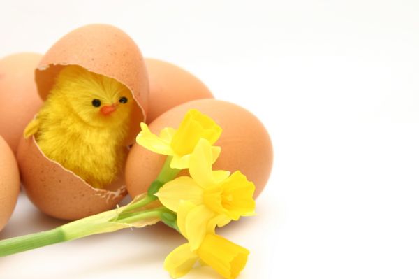 Easter 2010