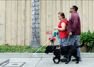 December 3rd is UN International Day of Persons with Disabilities 2