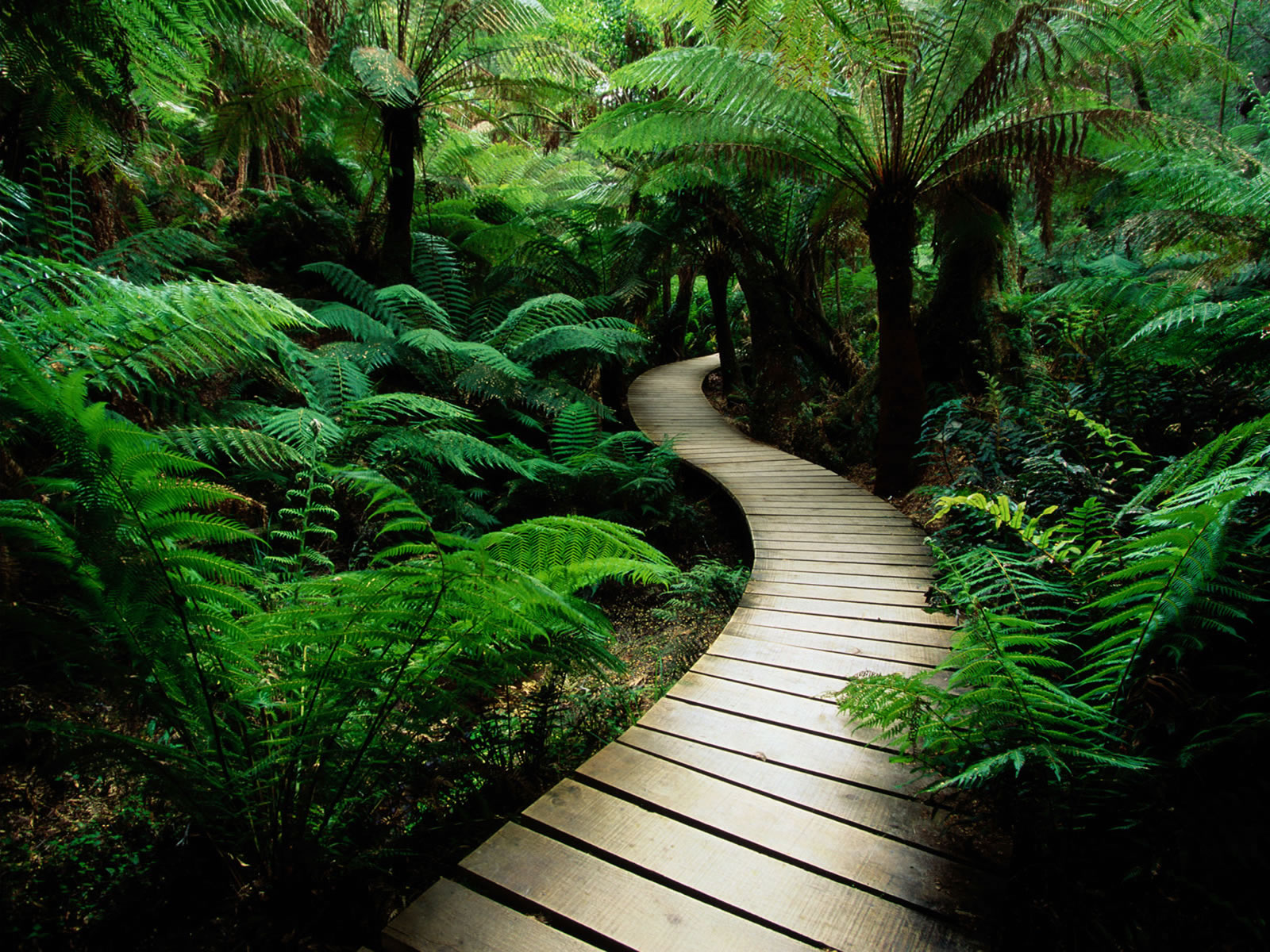 Related Keywords :Natural wallpapers, Pc System and Mobile wallpapers Related Keywords :Natural wallpapers, Pc System and Mobile wallpapers
