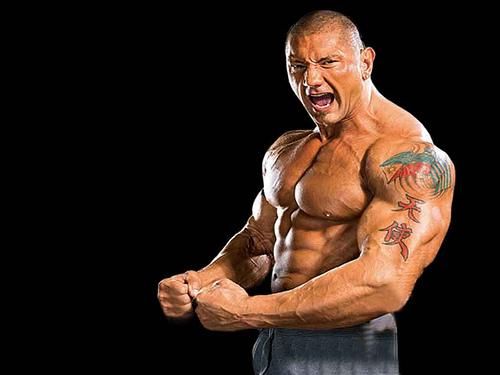 Batista The Animal