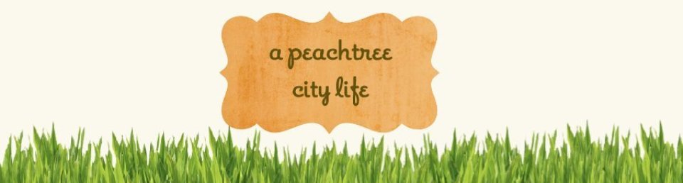 a peachtree city life