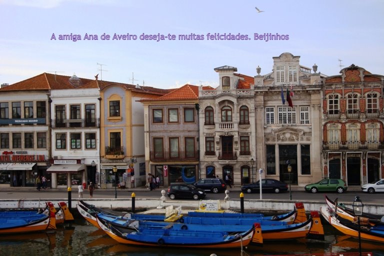 [Aveiro1.jpg]