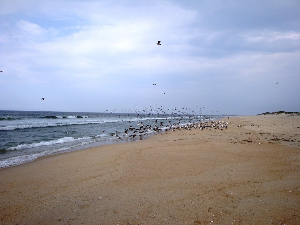 [DSC09805.JPG]