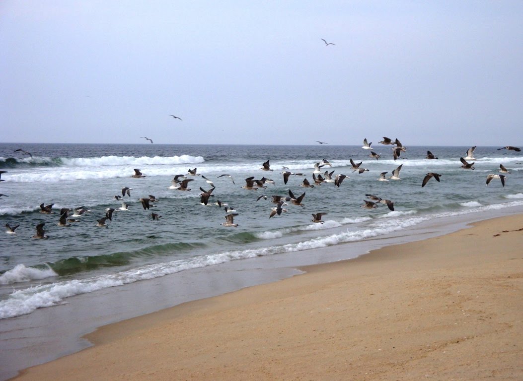 [DSC09814.JPG]