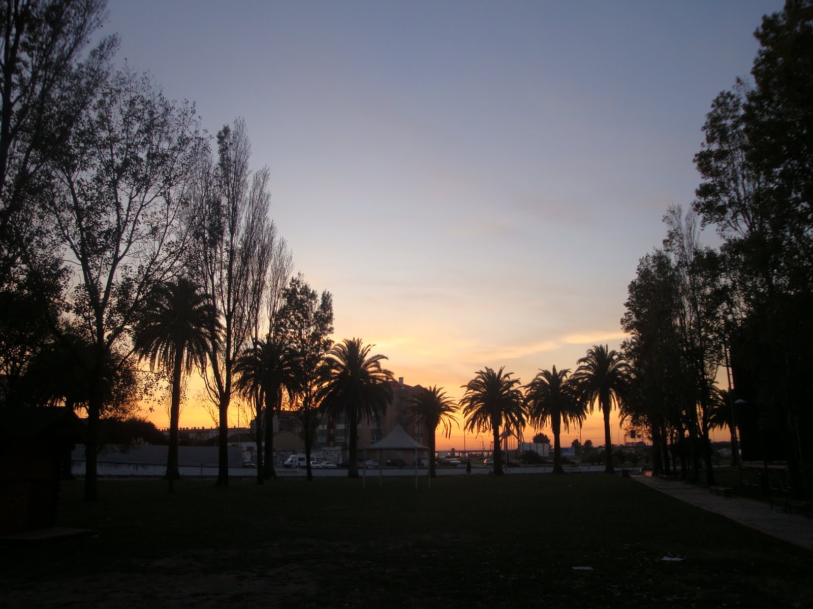 [DSC00813.JPG]