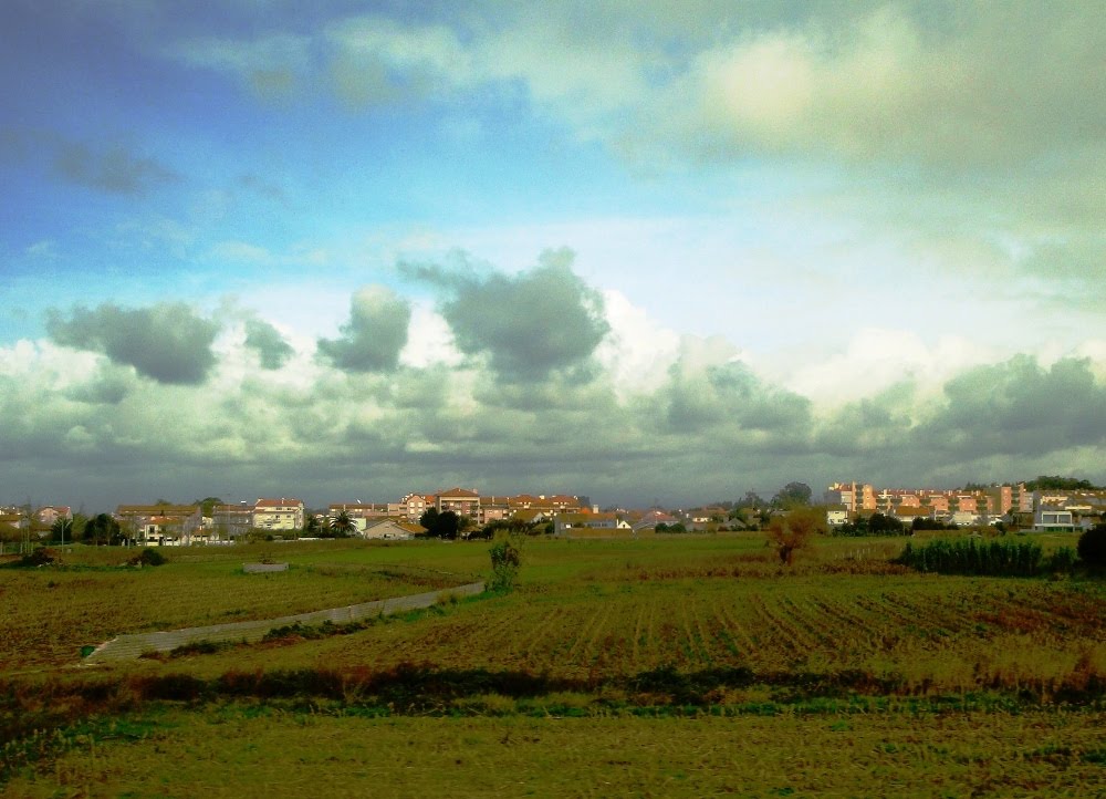 [DSC01928.JPG]