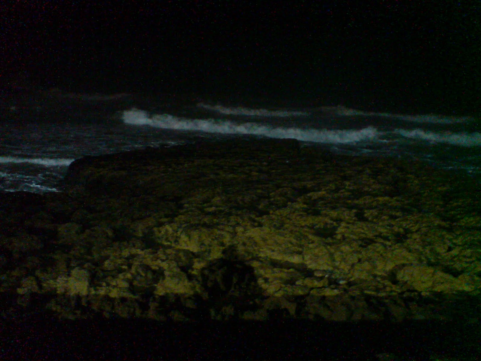 [DSC06373.JPG]