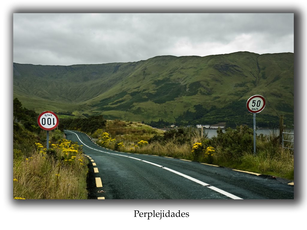 [señales-con-marco-2.jpg]