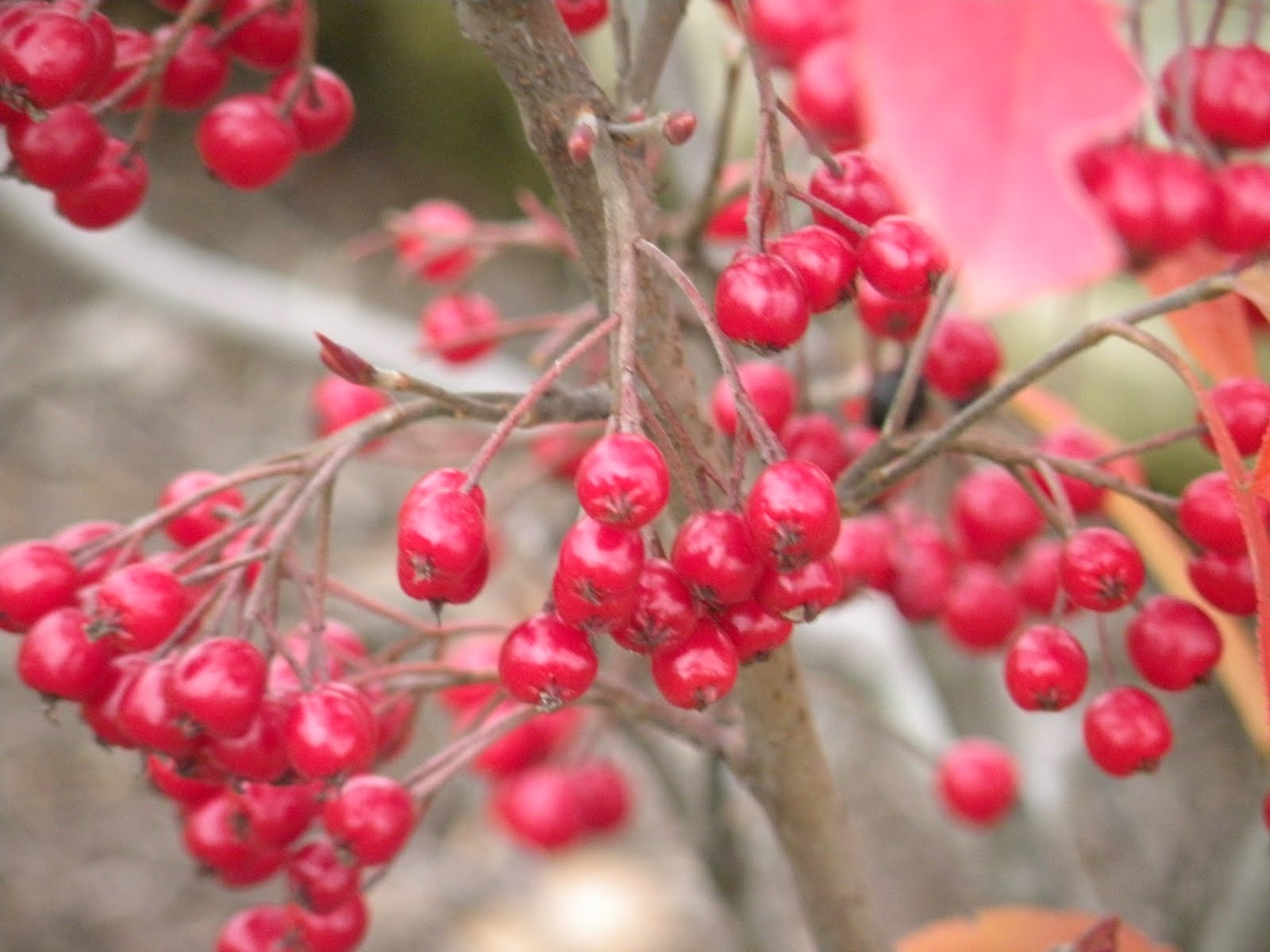 [Oct+8+2009+028.jpg]