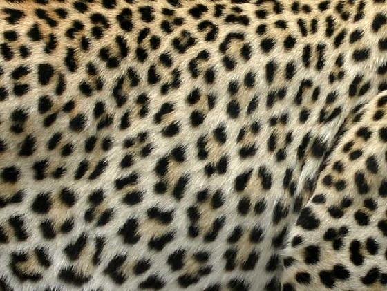 [spots.bmp]