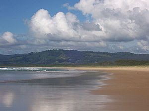 The Hills Surrounding Moonee Beach