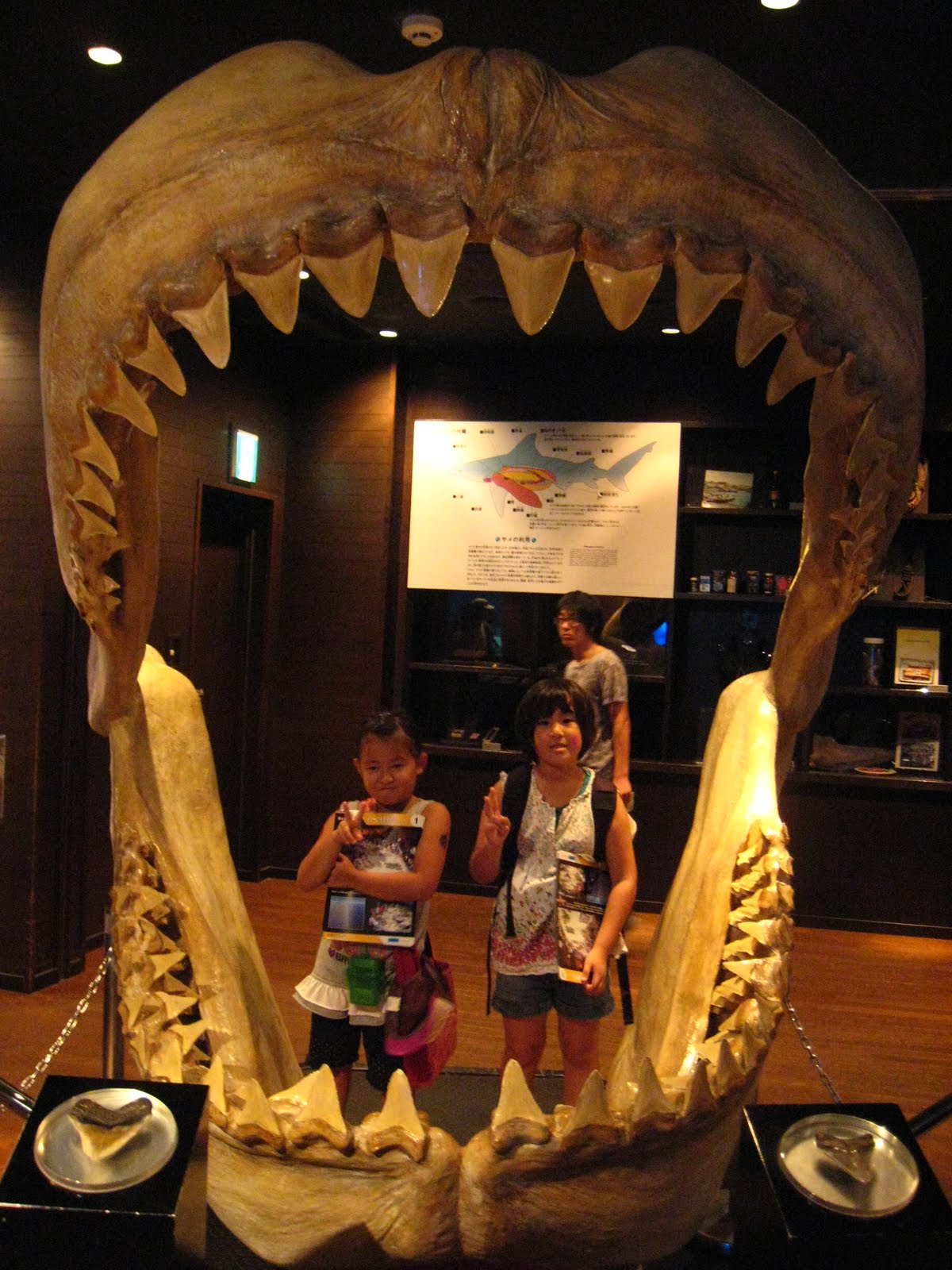 [③サメの歯型.JPG]