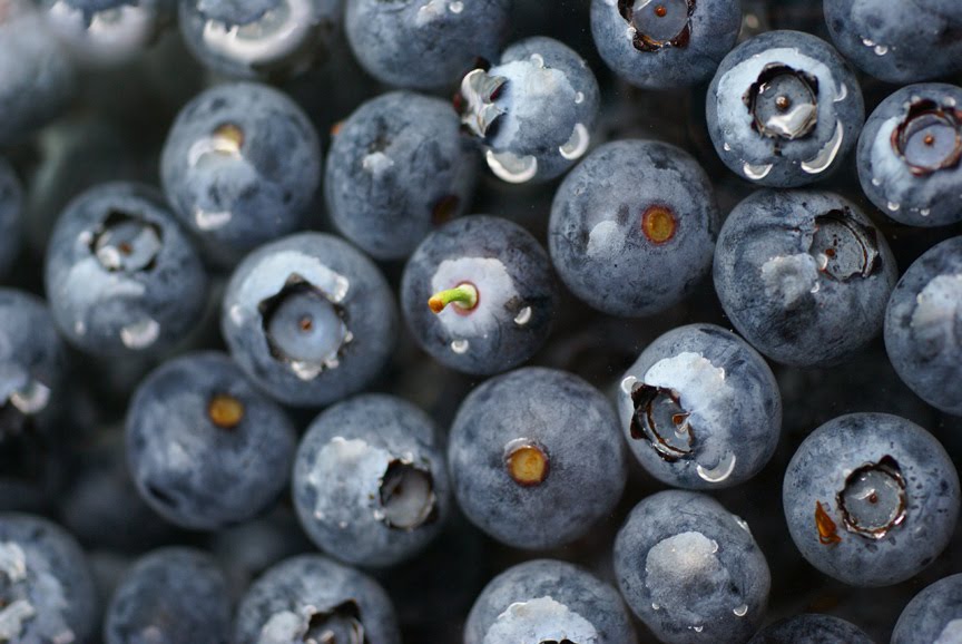 [Bluberries_in_water_I_.jpg]