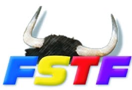 [FSTFsimple[1].jpg]