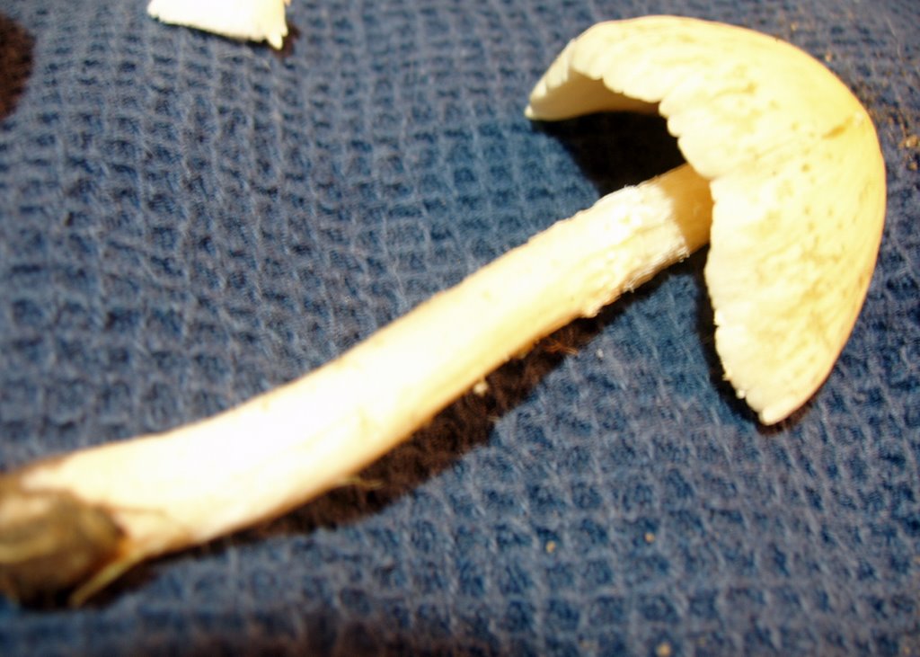 [PB190046.JPG]