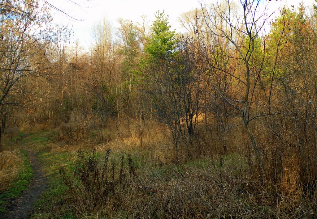 [DSCN0326.JPG]