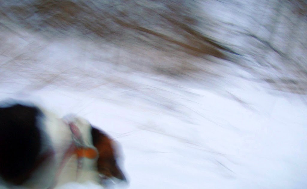 * Mungo Says Bah * Bushcraft Blog Bivy Sack in the Winter Snow