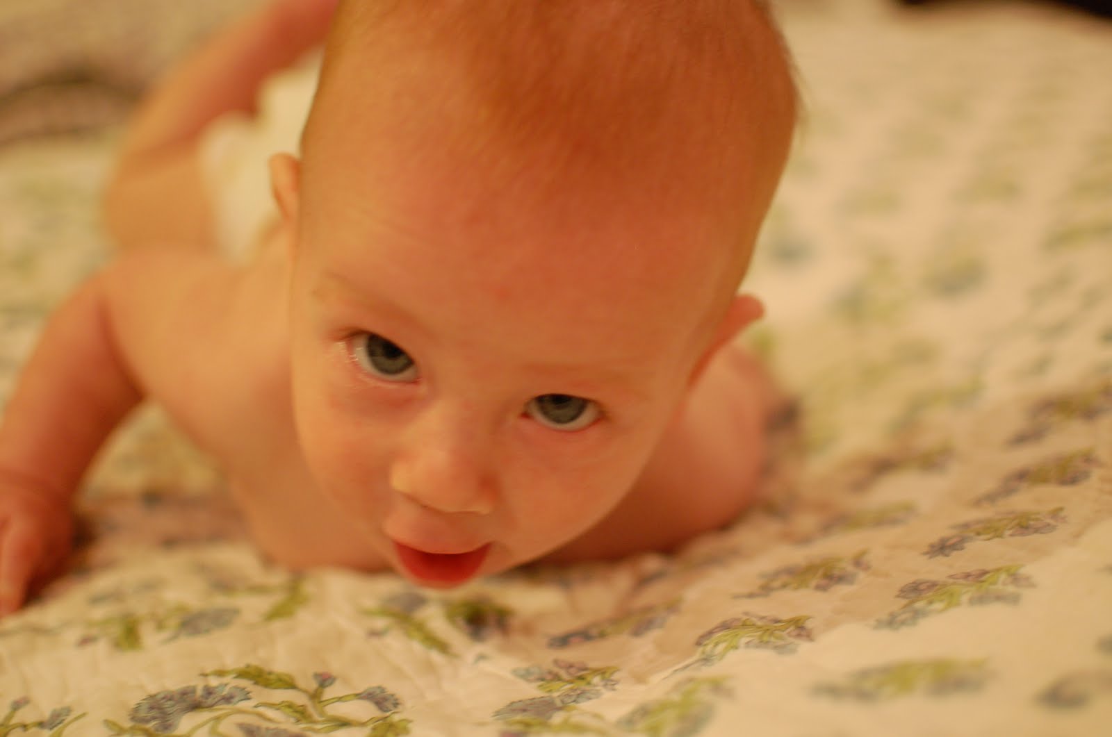 [DSC_1063.JPG]
