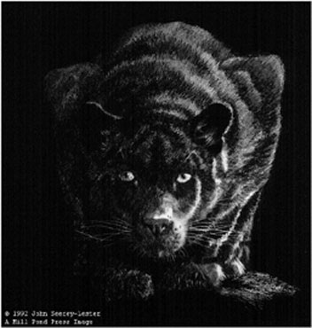 Nightmare Black Panther