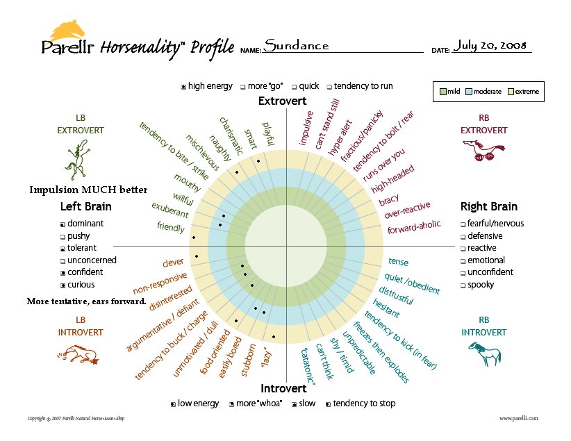 Sundance's Horsenality as of July 2008