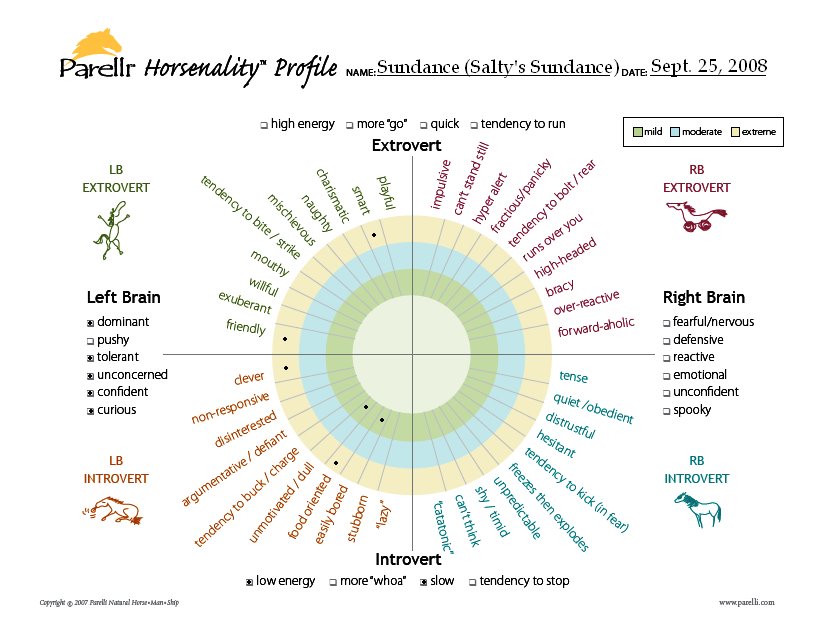 Sundance's Horsenality as of September 2008