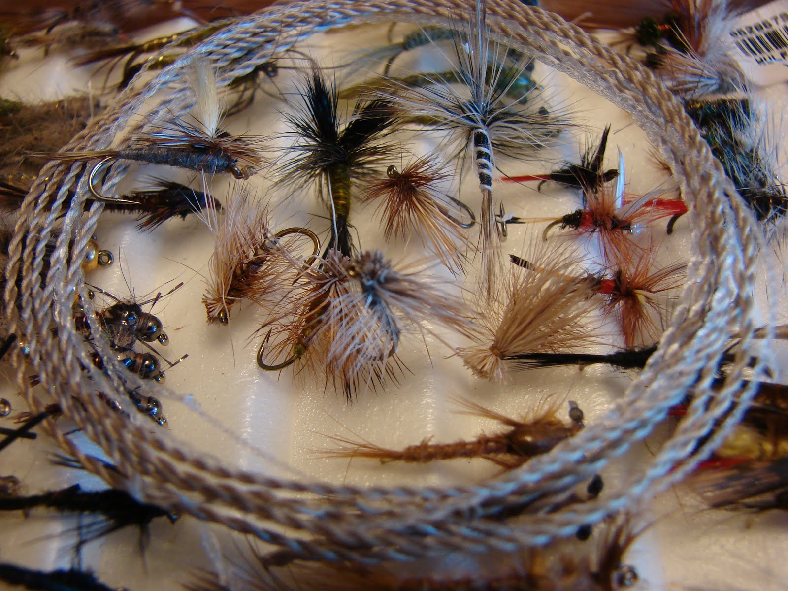 CutThroat Furled Leaders January 2011