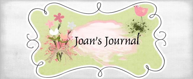 Joan's Journal