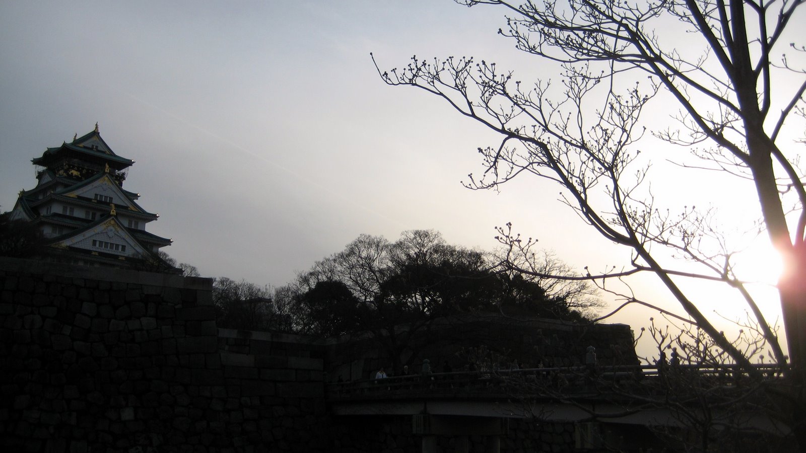 [IMG_4356.JPG]