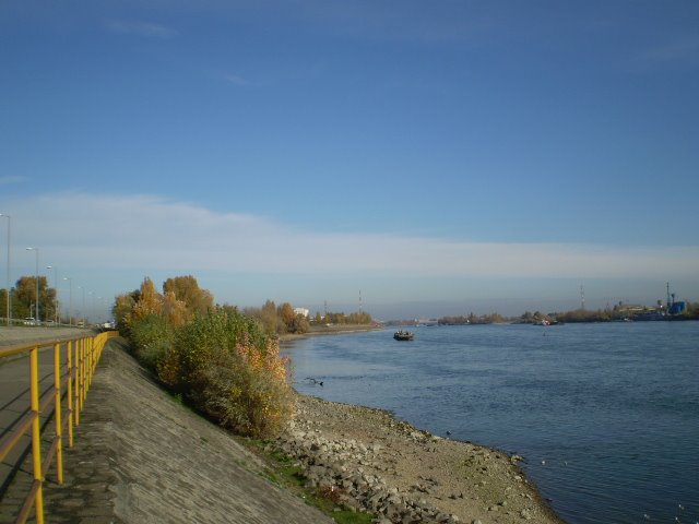 [2008.10.31.+020.jpg]