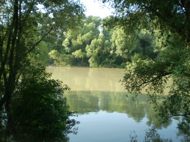 [2009.+06+30.+017.jpg]