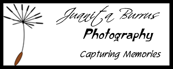 Juanita Burrus Photography