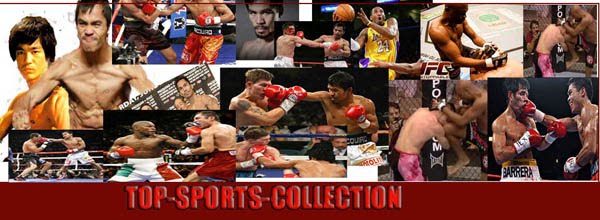 Top Sports Collection
